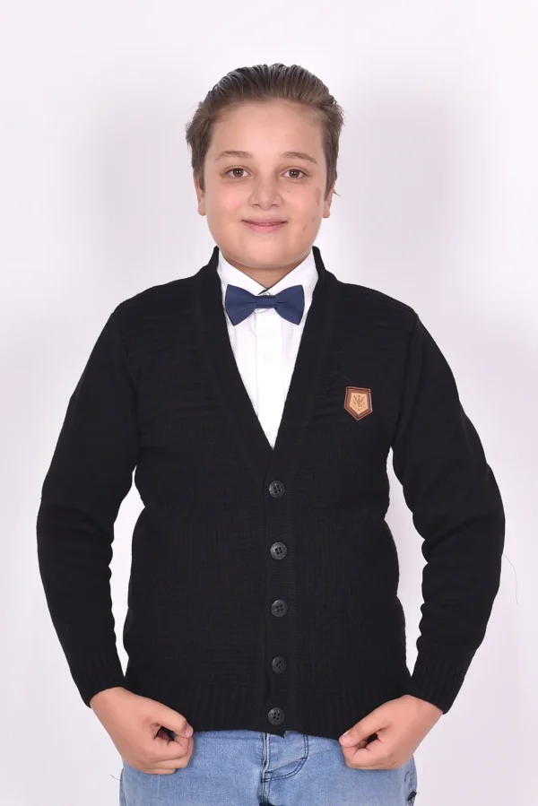 Düğmeli V Yakan Kışlık Erkek Çocuk Okul Yeleği - Görsel 3