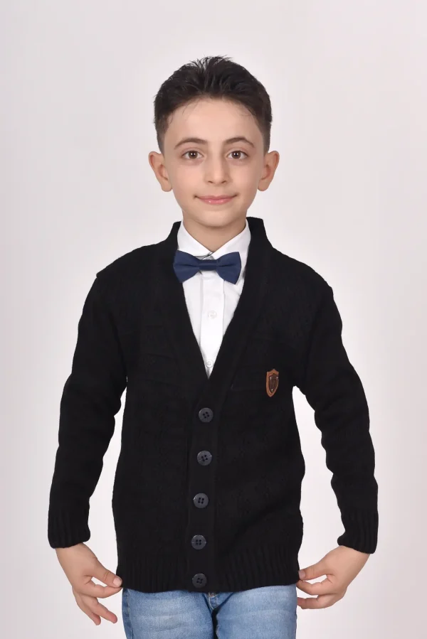 Düğmeli V Yakan Kışlık Erkek Çocuk Okul Yeleği
